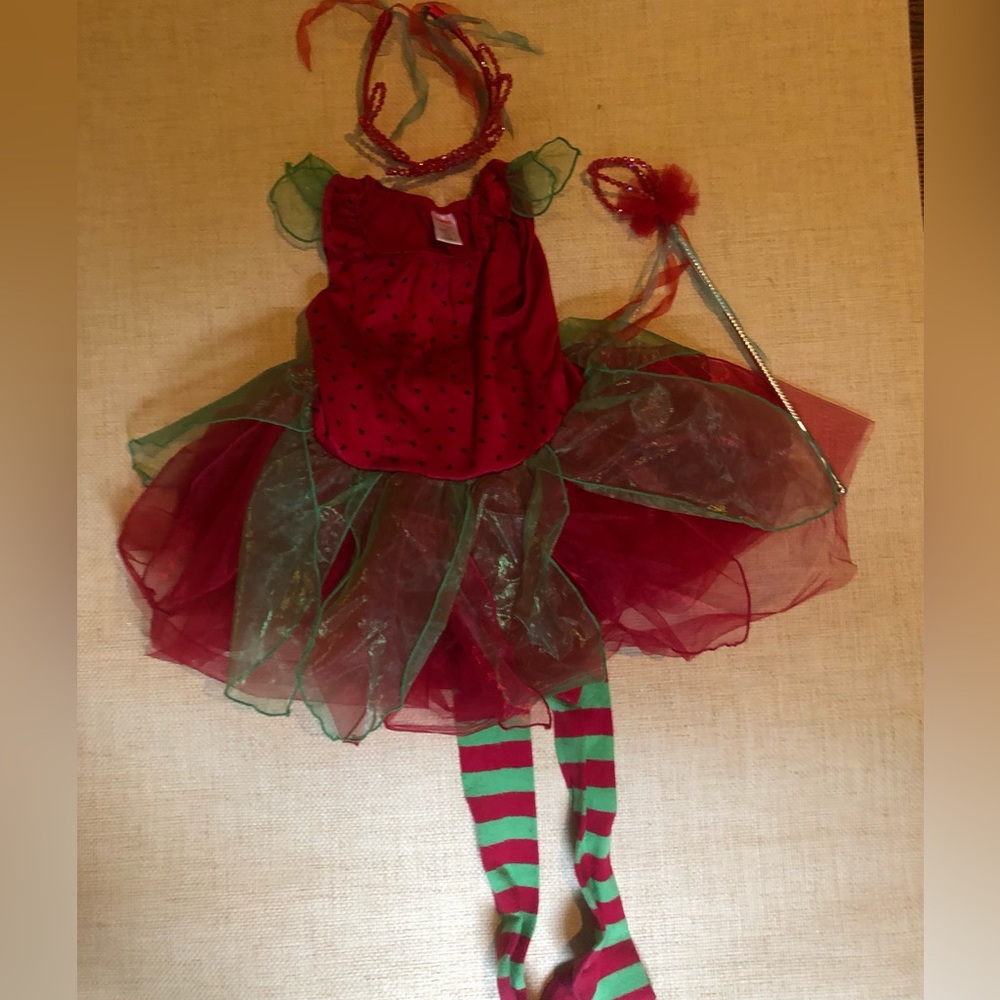 Gymboree Berry Butterfly costume size small 4-5y